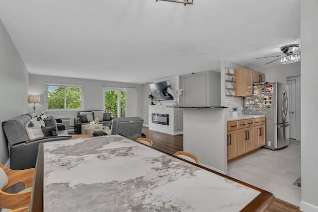 520 Burning Tree Ln Unit 306, Naperville, IL 60563 - dining room with a glass covered fireplace and ceiling fan