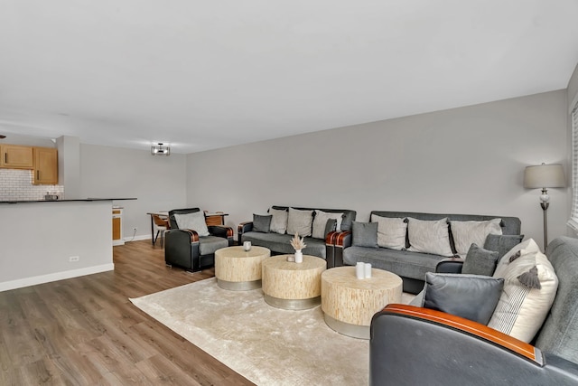 520 Burning Tree Ln Unit 306, Naperville, IL 60563 - living room featuring wood finished floors and baseboards
