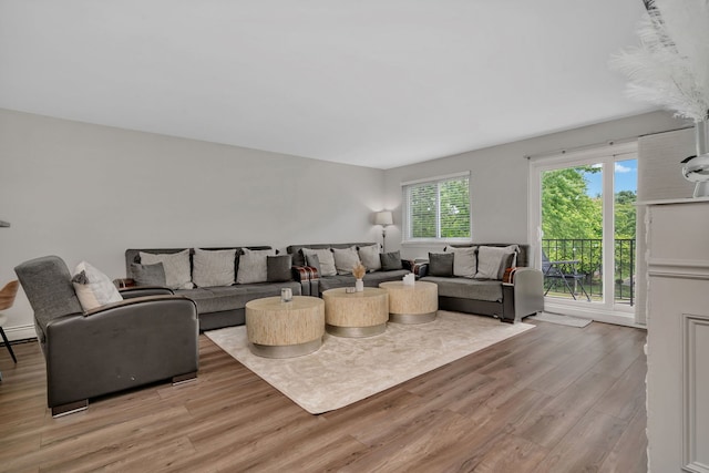520 Burning Tree Ln Unit 306, Naperville, IL 60563 - living room with light wood-type flooring