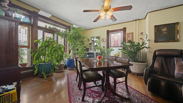 123 E 3rd St, Byron, IL 61010 - dining space with ceiling fan, wood finished floors, and a textured ceiling