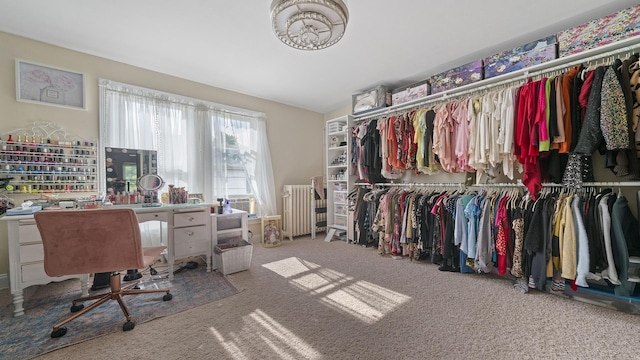 123 E 3rd St, Byron, IL 61010 - spacious closet with radiator and carpet