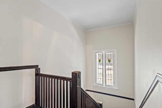8030 S Trumbull Ave, Chicago, IL 60652 - photo 19