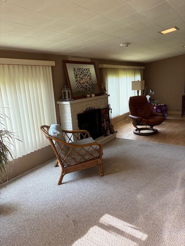 10 Lombard Cir, Lombard, IL 60148 - living area featuring a fireplace