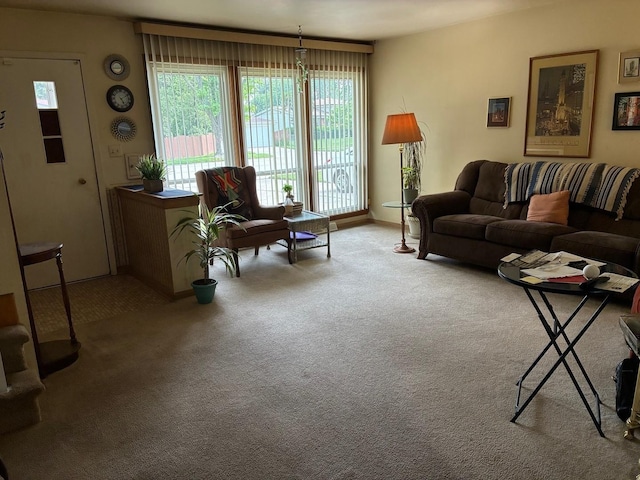 10 Lombard Cir, Lombard, IL 60148 - carpeted living area with baseboards