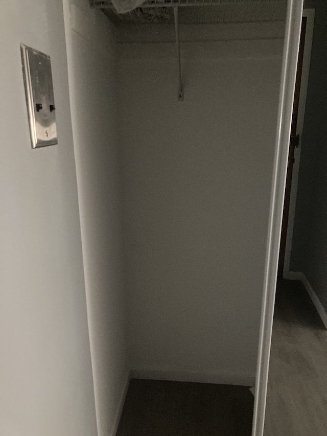 6300 N Sheridan Rd Unit 517, Chicago, IL 60660 - view of walk in closet