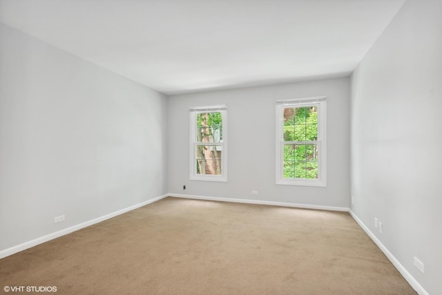 520 Shorely Dr Unit 201, Barrington, IL 60010 - photo 10