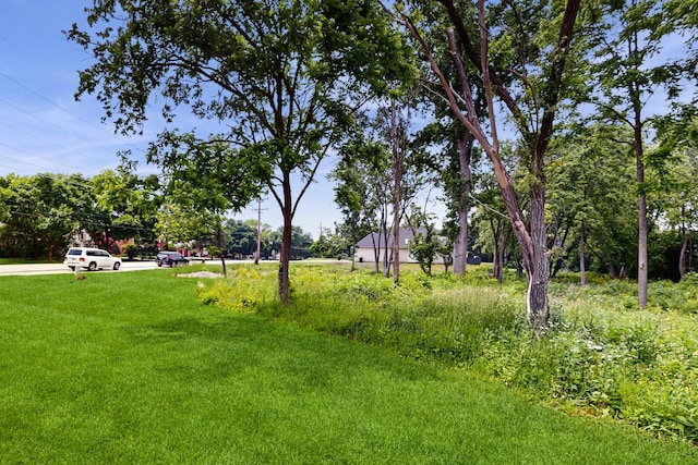 3010 35th St, Oak Brook, IL 60523 - photo 44