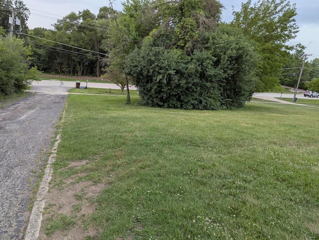 219 W 79th St, Burr Ridge, IL 60527 - view of grassy yard