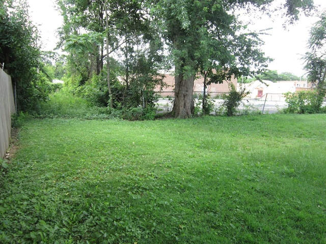15831 Trumbull Ave, Markham, IL 60428 - view of yard