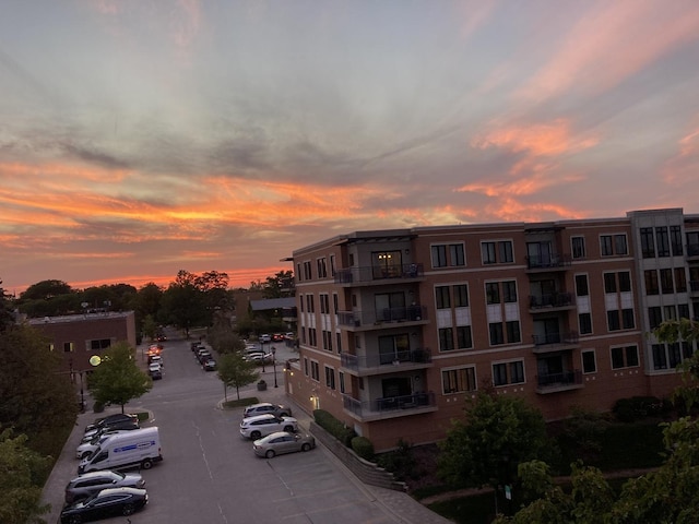 145 S York St Unit 504, Elmhurst, IL 60126 - photo 34