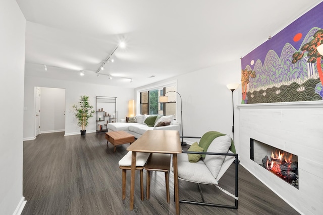 7409 N Seeley Ave Unit 2B, Chicago, IL 60645 - living area featuring wood finished floors, a lit fireplace, and track lighting