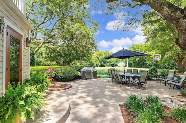 15606 W Sweedler Rd, Manhattan, IL 60442 - view of patio featuring a grill, outdoor dining area, and view of scattered trees