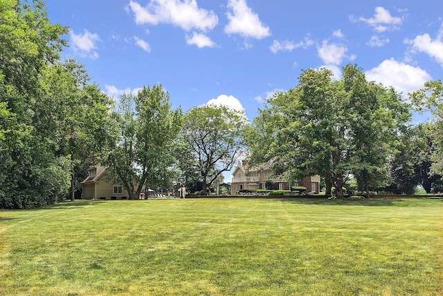 15606 W Sweedler Rd, Manhattan, IL 60442 - view of green lawn