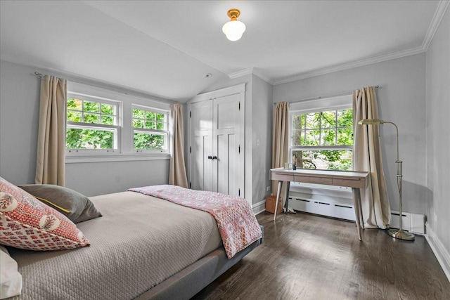 330 Abbotsford Rd, Kenilworth, IL 60043 - bedroom featuring multiple windows, vaulted ceiling, wood finished floors, a baseboard radiator, and a closet