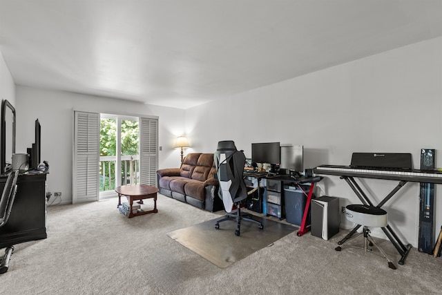 338 N Benton St, Palatine, IL 60067 - view of carpeted office space
