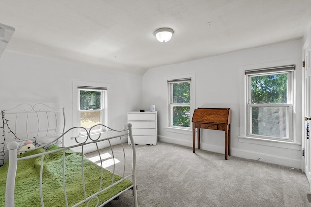 338 N Benton St, Palatine, IL 60067 - carpeted bedroom featuring multiple windows