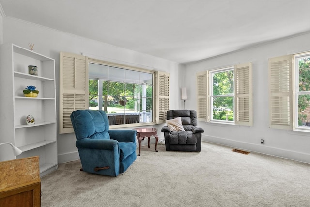 338 N Benton St, Palatine, IL 60067 - sitting room with carpet floors and plenty of natural light