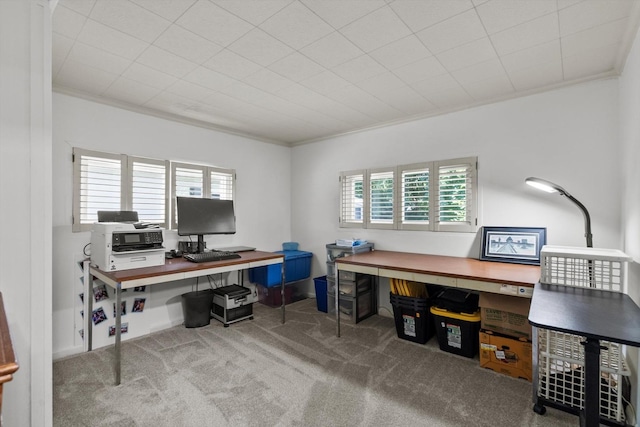 338 N Benton St, Palatine, IL 60067 - carpeted office with ornamental molding and plenty of natural light