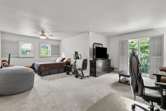 338 N Benton St, Palatine, IL 60067 - bedroom with carpet floors and ceiling fan