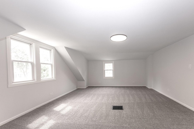 10940 S Trumbull Ave, Chicago, IL 60655 - bonus room featuring light carpet and lofted ceiling