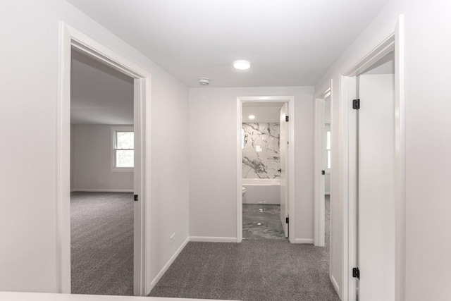 10940 S Trumbull Ave, Chicago, IL 60655 - corridor featuring carpet flooring and recessed lighting