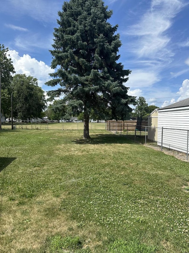 925 E Sangamon Ave, Rantoul, IL 61866 - view of yard