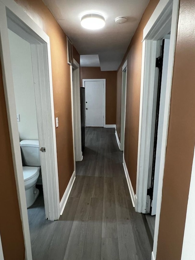730 N Spaulding Ave, Chicago, IL 60624 - hallway with dark wood finished floors and baseboards