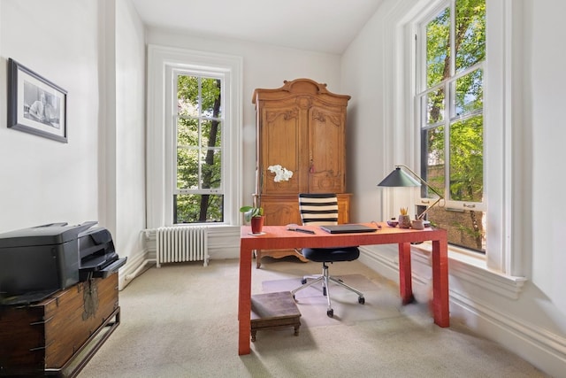 1407 N Dearborn St, Chicago, IL 60610 - photo 30