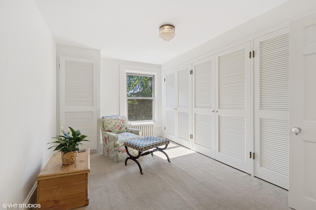 1407 N Dearborn St, Chicago, IL 60610 - photo 35