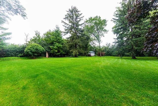 21210 W Lakeview Pkwy, Mundelein, IL 60060 - photo 49