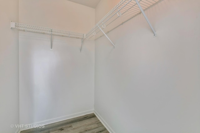 2895 Lahinch Ct, Aurora, IL 60503 - walk in closet featuring light wood-type flooring