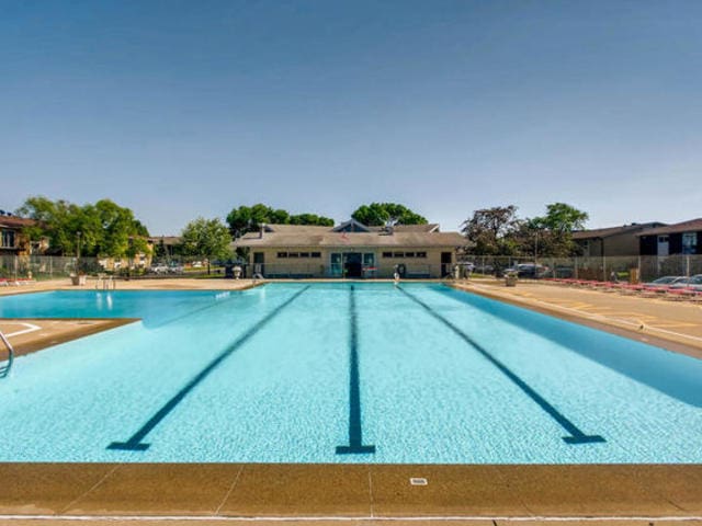 8928 Stevens Dr Unit 1A, Des Plaines, IL 60016 - view of community pool