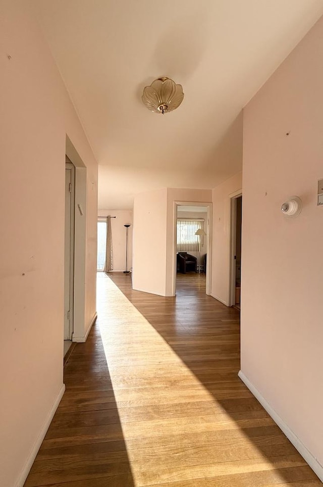 8928 Stevens Dr Unit 1A, Des Plaines, IL 60016 - corridor featuring dark wood-style floors and baseboards