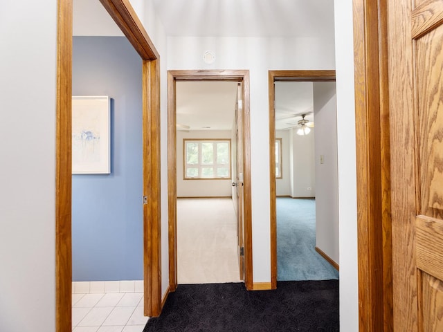 6527 N Onarga Ave, Chicago, IL 60631 - corridor featuring carpet and baseboards