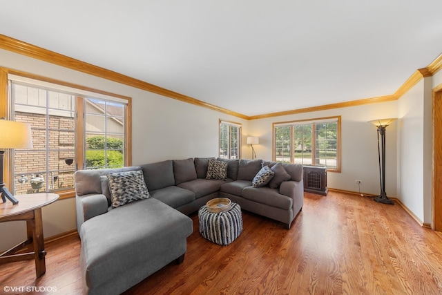 10809 Chaucer Dr, Willow Springs, IL 60480 - living area featuring healthy amount of natural light, light wood-style flooring, and crown molding