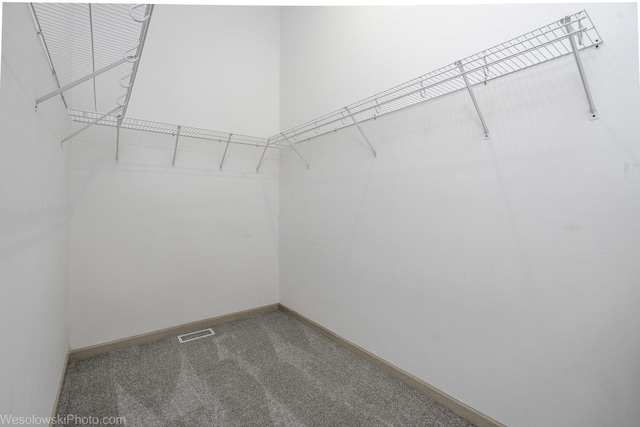 20739 N Weiland Rd, Prairie View, IL 60069 - walk in closet featuring carpet floors