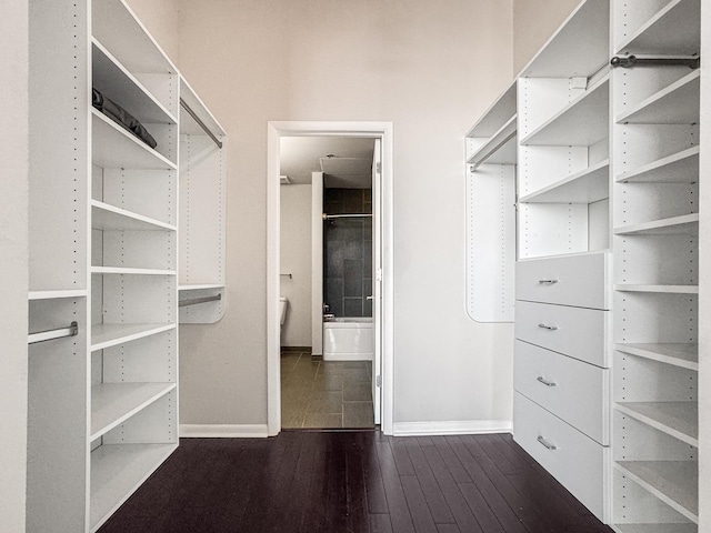 1550 S Blue Island Ave Unit 1125, Chicago, IL 60608 - spacious closet with dark wood finished floors