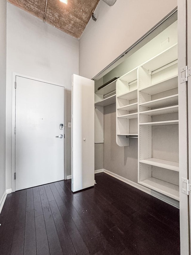 1550 S Blue Island Ave Unit 1125, Chicago, IL 60608 - spacious closet with hardwood / wood-style floors