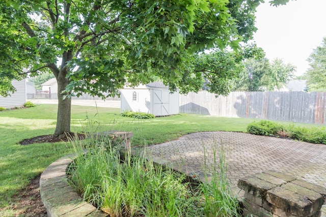 216 Dickens Trl, Elgin, IL 60120 - view of yard with a shed and a patio