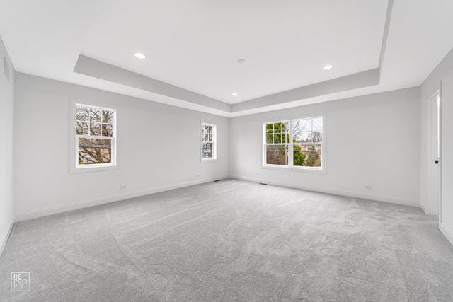 1122 W Wilson St, Palatine, IL 60067 - spare room featuring a raised ceiling, carpet floors, and recessed lighting