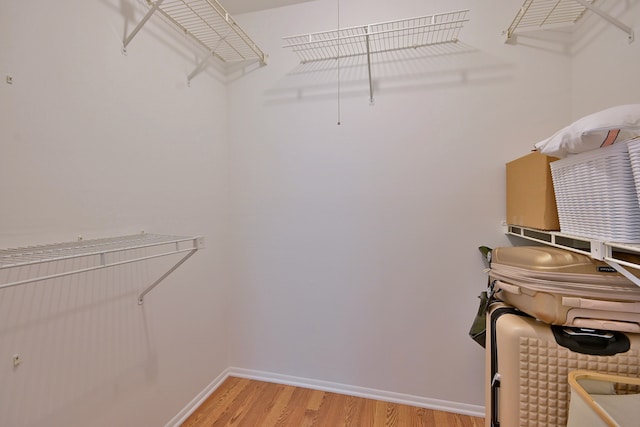 1813 Hemlock Pl Unit 306, Schaumburg, IL 60173 - spacious closet with light wood-type flooring