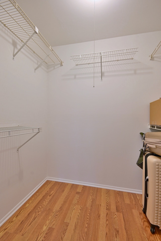 1813 Hemlock Pl Unit 306, Schaumburg, IL 60173 - spacious closet featuring light wood-style floors