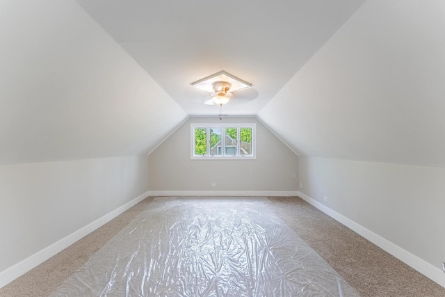 437 Winnebago St, Park Forest, IL 60466 - bonus room featuring vaulted ceiling and baseboards