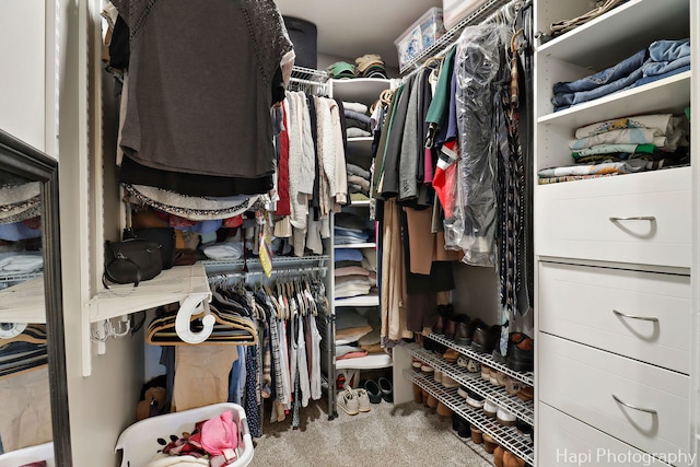 809 W Sheridan Rd, Mchenry, IL 60051 - spacious closet featuring carpet floors