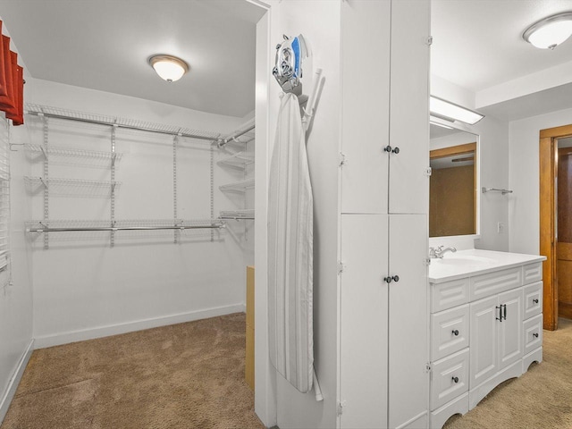 512 S Elida St, Winnebago, IL 61088 - walk in closet with light colored carpet