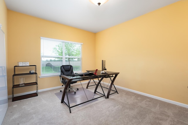 677 Slate Run, Elgin, IL 60124 - photo 28