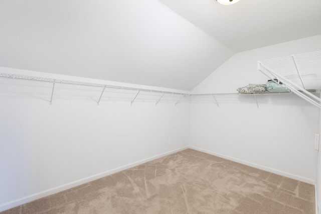 677 Slate Run, Elgin, IL 60124 - photo 36