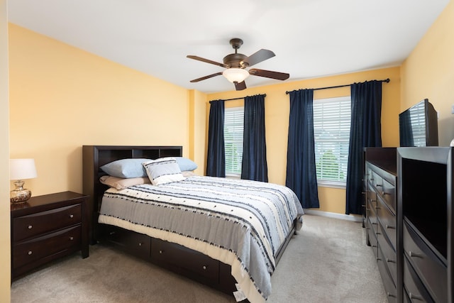 677 Slate Run, Elgin, IL 60124 - photo 45