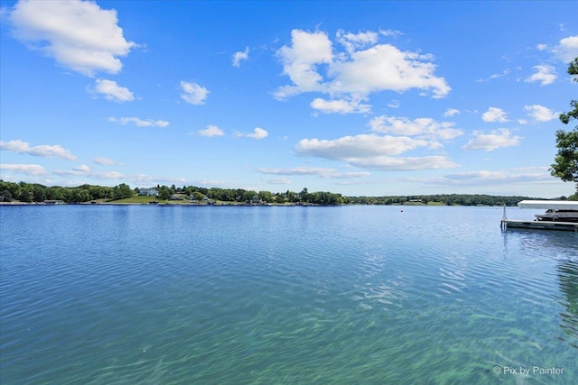 5-105 Topsail Ct, Lake Carroll, IL 61046 - photo 12