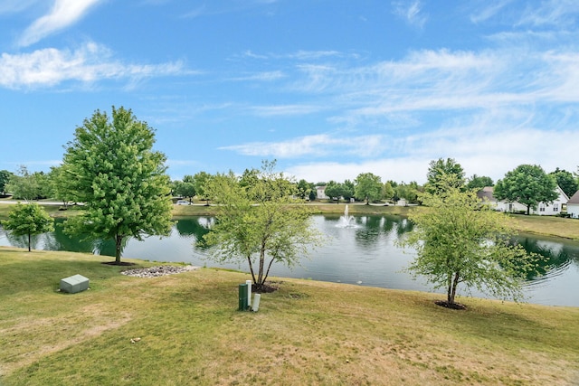 1629 Fieldstone S Dr, Shorewood, IL 60404 - photo 31